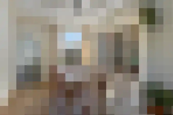 Lindenstraat 7 Tilburg thumbnail 5