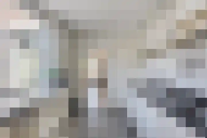 Lindenstraat 7 Tilburg thumbnail 6