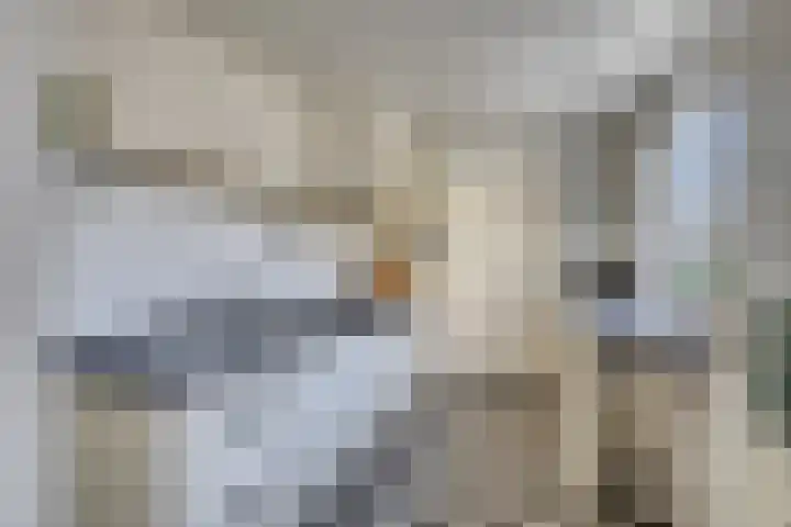 Lindenstraat 7 Tilburg thumbnail 7