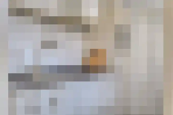 Lindenstraat 7 Tilburg thumbnail 9