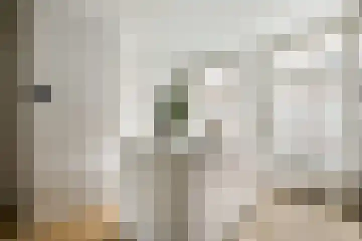 Lindenstraat 80 A Amsterdam thumbnail 13