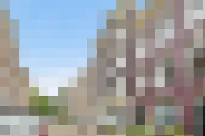 Lindenstraat 80 A Amsterdam thumbnail 23