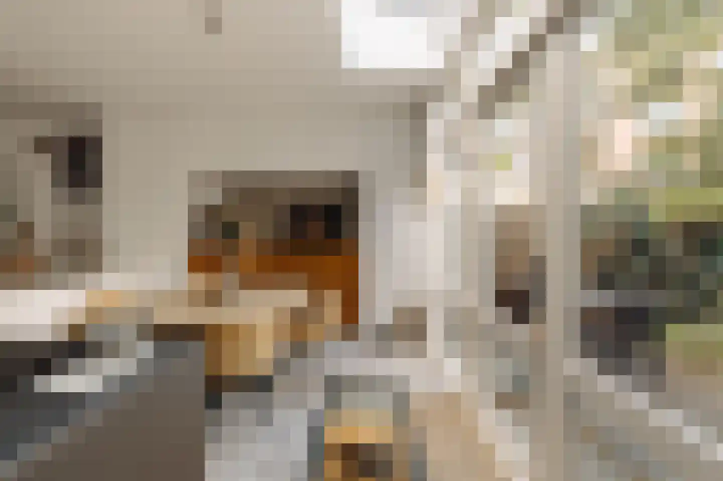Lindenstraat 80 C Amsterdam thumbnail 12