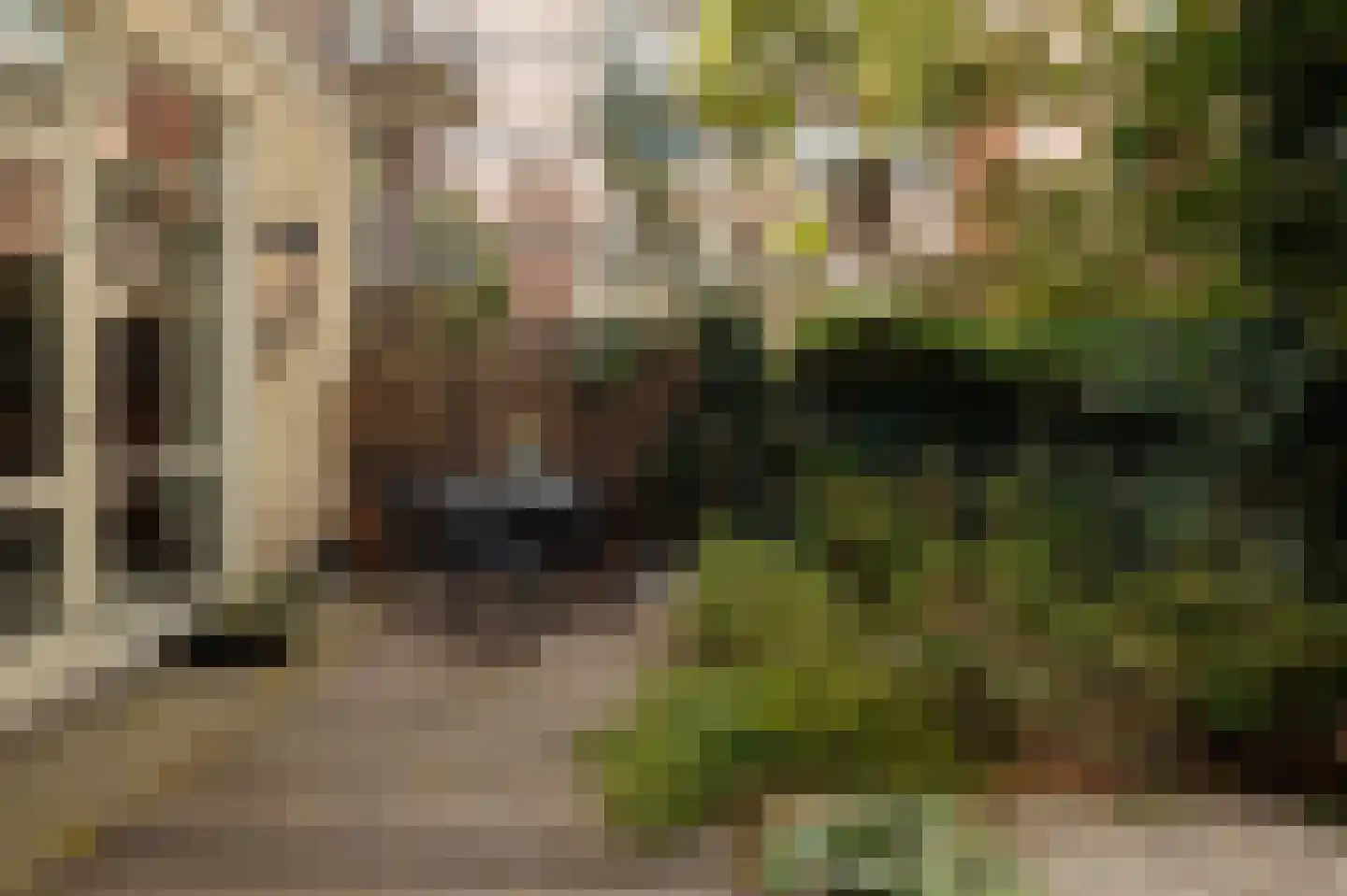 Lindenstraat 80 C Amsterdam thumbnail 13