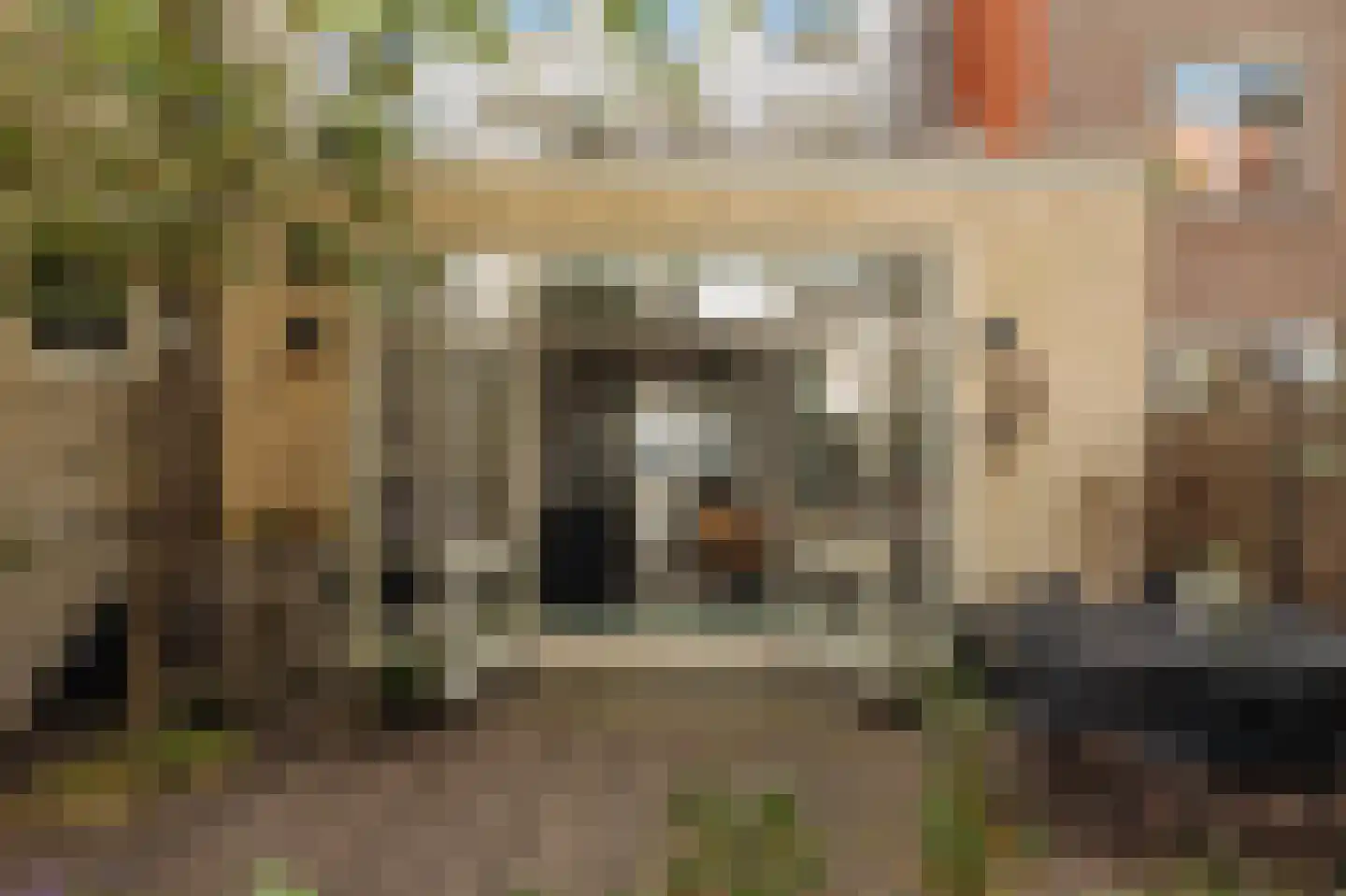 Lindenstraat 80 C Amsterdam thumbnail 14