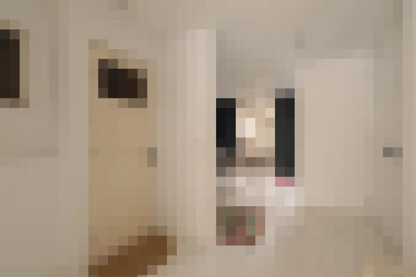 Lindenstraat 80 C Amsterdam thumbnail 27