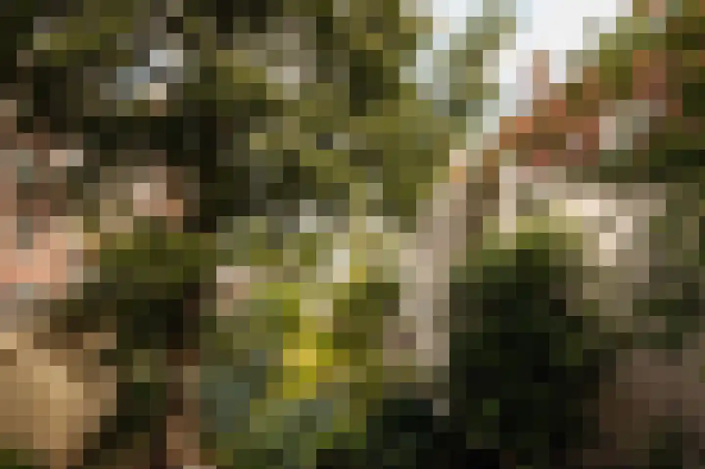 Lindenstraat 80 C Amsterdam thumbnail 31
