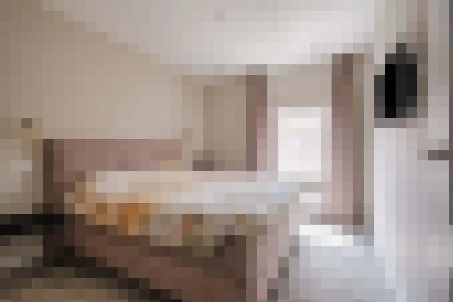 Lindenstraat 9 Westerhoven thumbnail 15