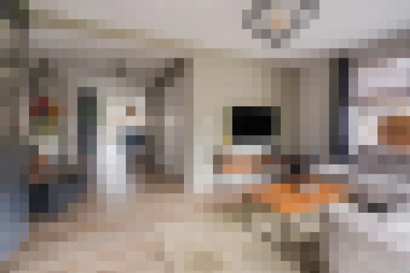 Lindenstraat 9 Westerhoven thumbnail 8