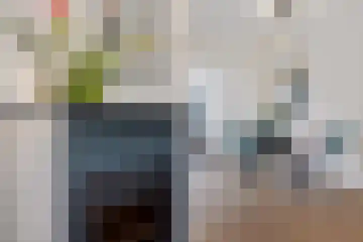 Lindenweg 14 Hengelo thumbnail 13