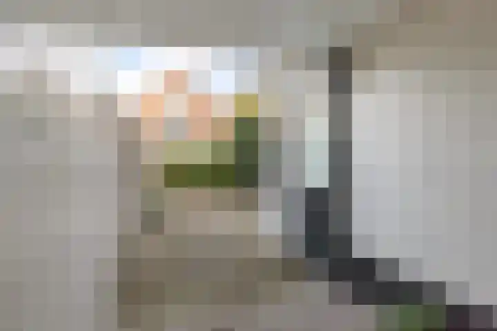 Lindenweg 14 Hengelo thumbnail 38