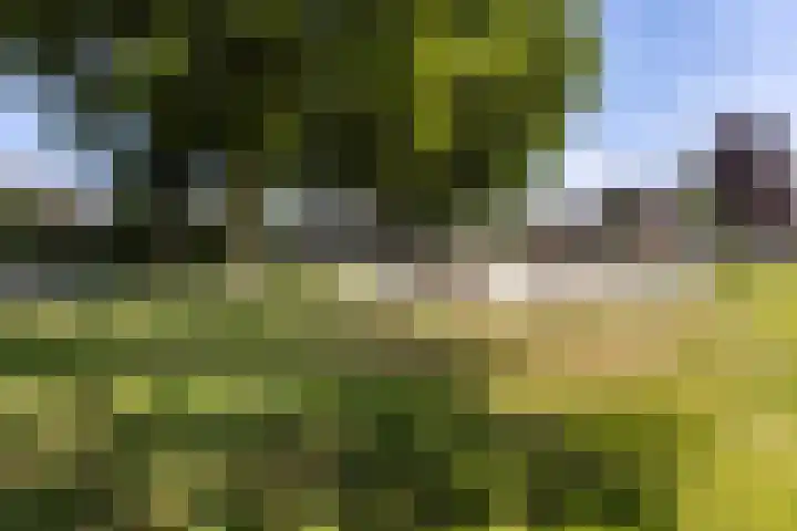 Lindenweg 18 Hengelo thumbnail 31