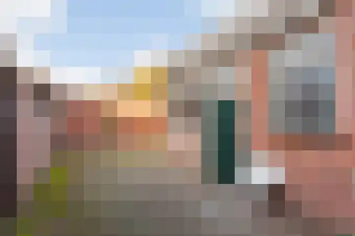 Lindenweg 19 Hengelo thumbnail 17