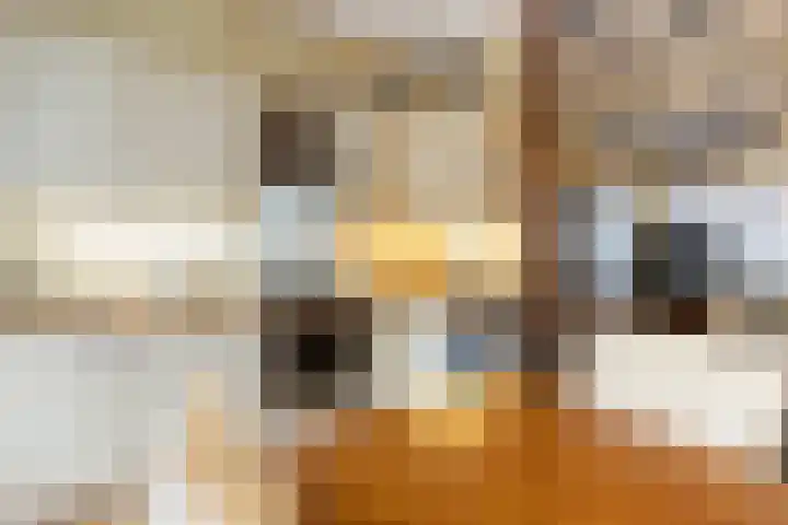 Lindenweg 24 Hengelo thumbnail 13