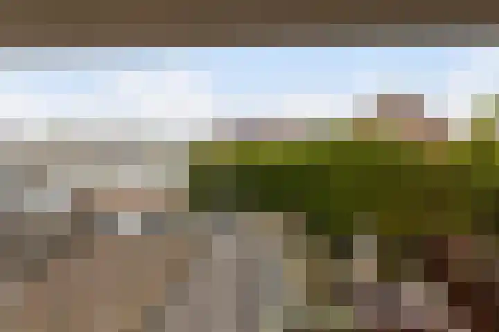 Lindenweg 24 Hengelo thumbnail 24