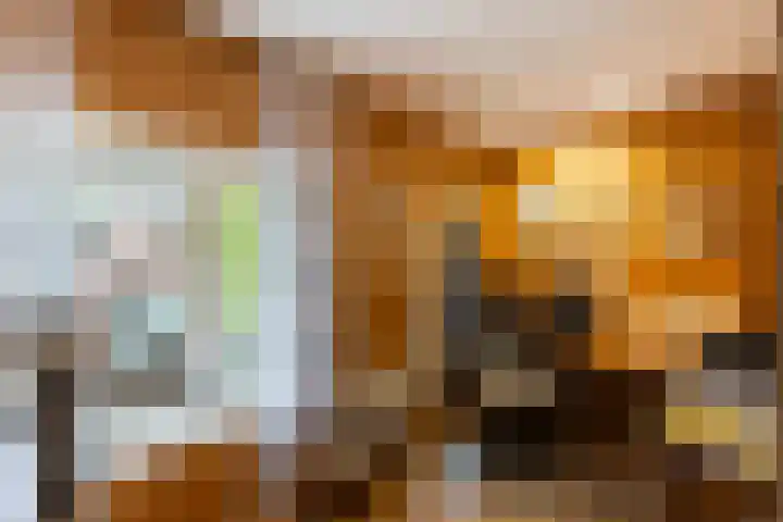 Lindenweg 24 Hengelo thumbnail 26