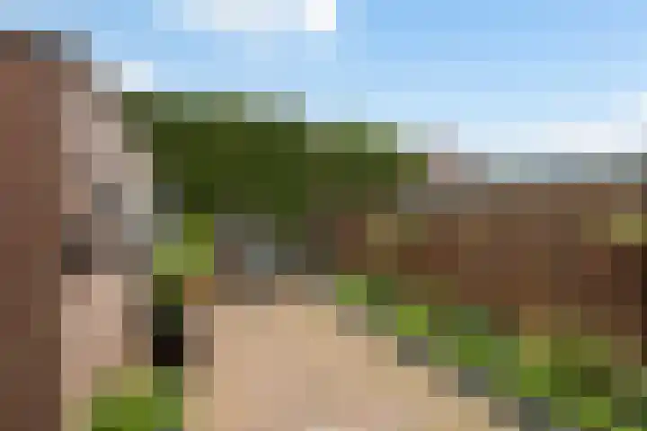 Lindenweg 24 Hengelo thumbnail 30