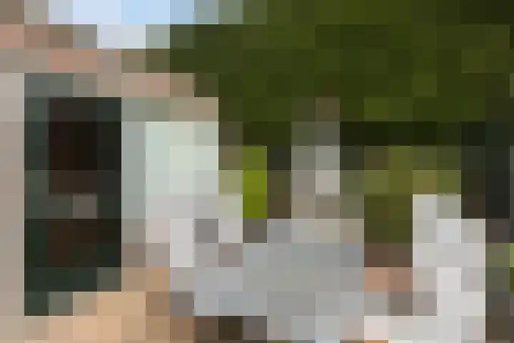 Lindenweg 24 Hengelo thumbnail 31