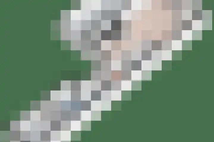 Lindenweg 24 Hengelo thumbnail 34