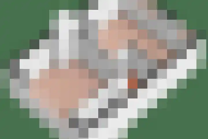Lindenweg 24 Hengelo thumbnail 36