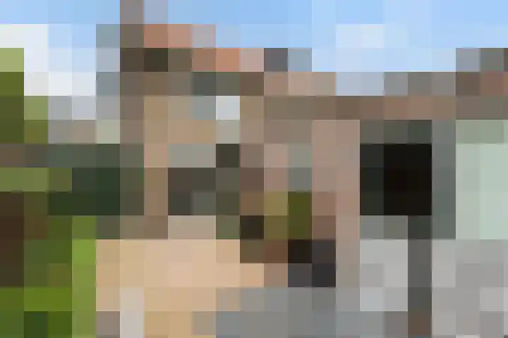 Lindenweg 24 Hengelo thumbnail 4