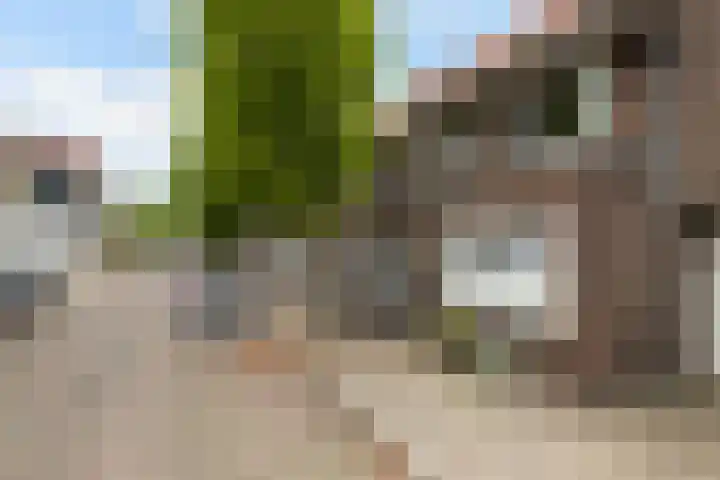 Lindenweg 24 Hengelo thumbnail 6