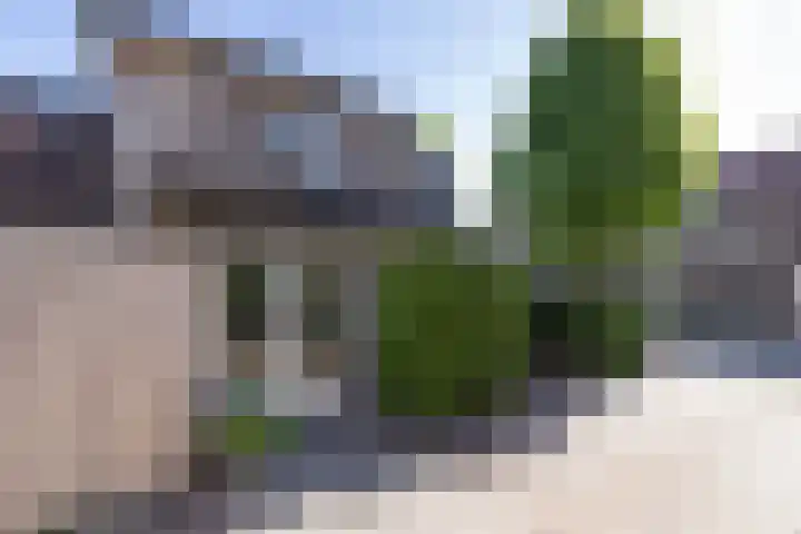 Lindenweg 37 Hengelo thumbnail 31