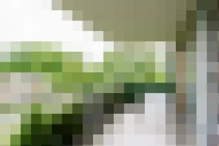 Lindepark 48 Amstelveen thumbnail 11