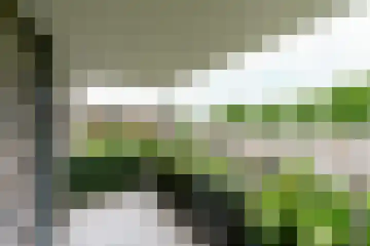 Lindepark 48 Amstelveen thumbnail 13
