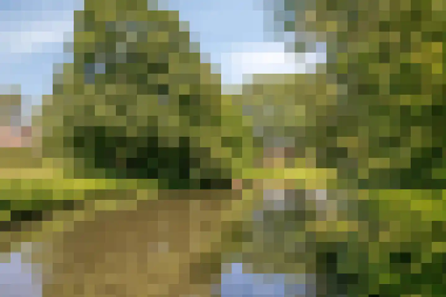 Lindepark 54 Amstelveen thumbnail 30