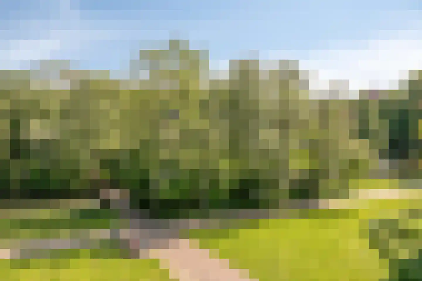 Lindepark 54 Amstelveen thumbnail 7