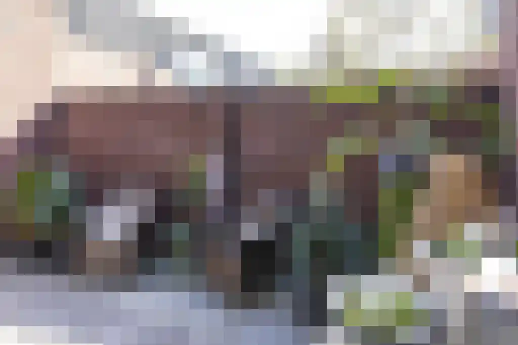 Lindeparklaan 7 Oisterwijk thumbnail 28