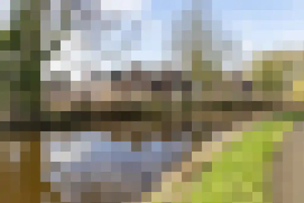 Lindeparklaan 7 Oisterwijk thumbnail 35