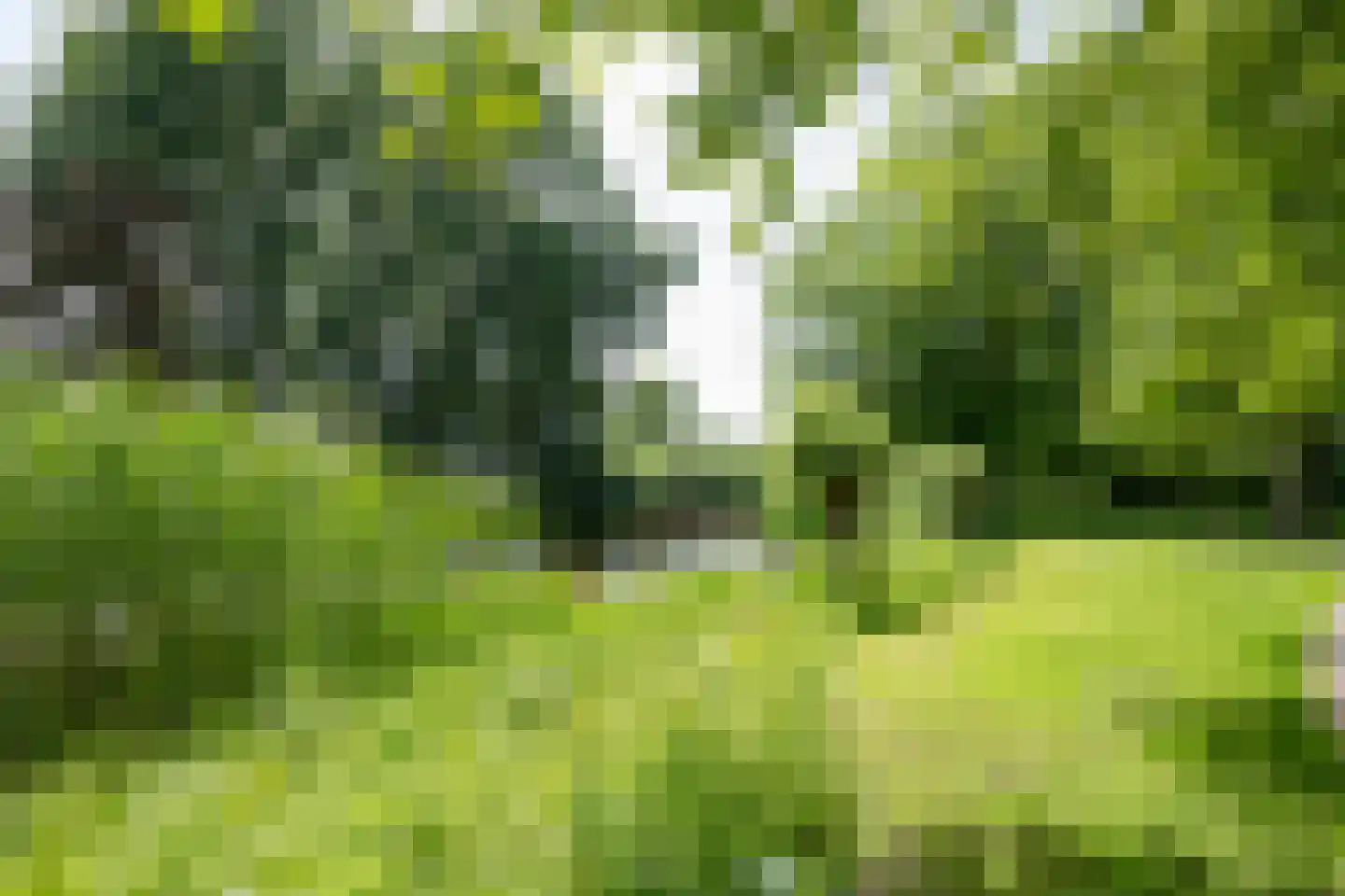 Lindeparklaan 7 Oisterwijk thumbnail 37