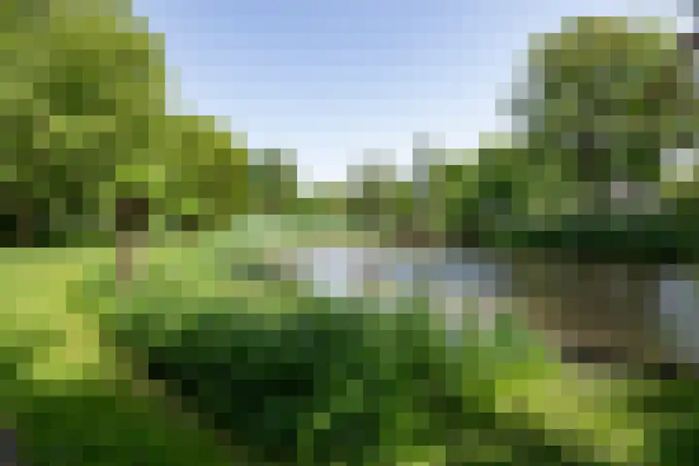 Lindeparklaan 7 Oisterwijk thumbnail 38