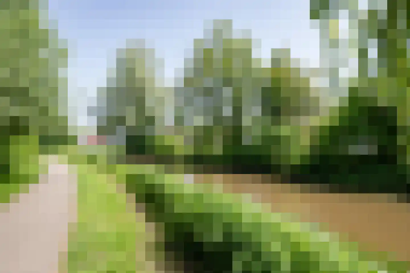 Lindeparklaan 7 Oisterwijk thumbnail 39