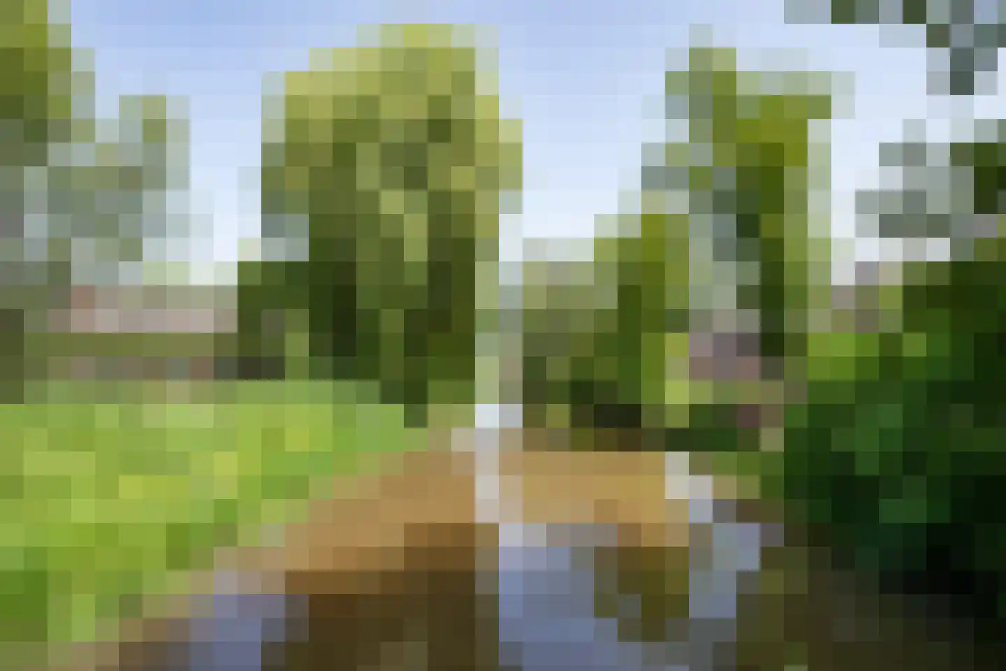 Lindeparklaan 7 Oisterwijk thumbnail 40