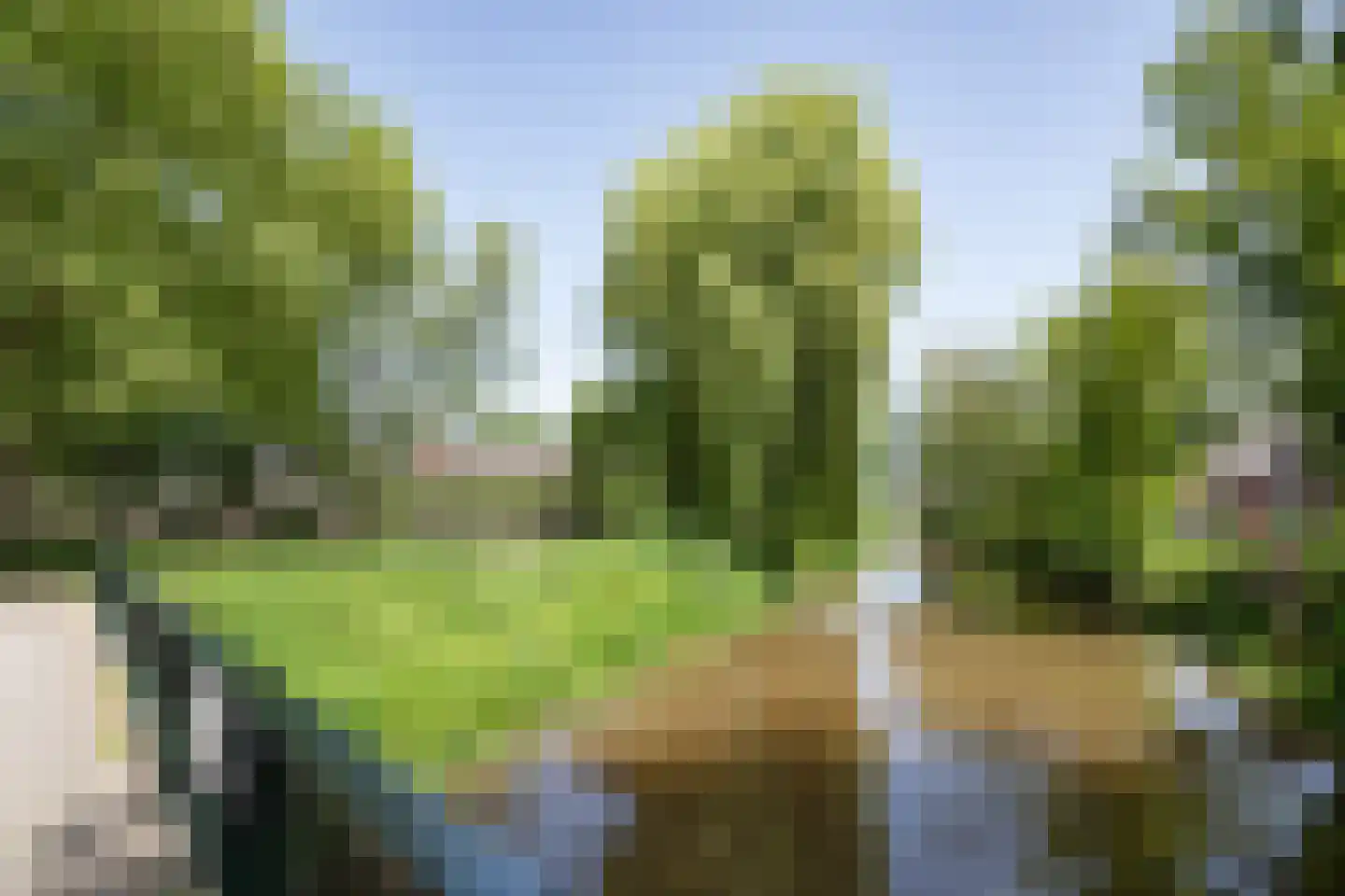 Lindeparklaan 7 Oisterwijk thumbnail 41