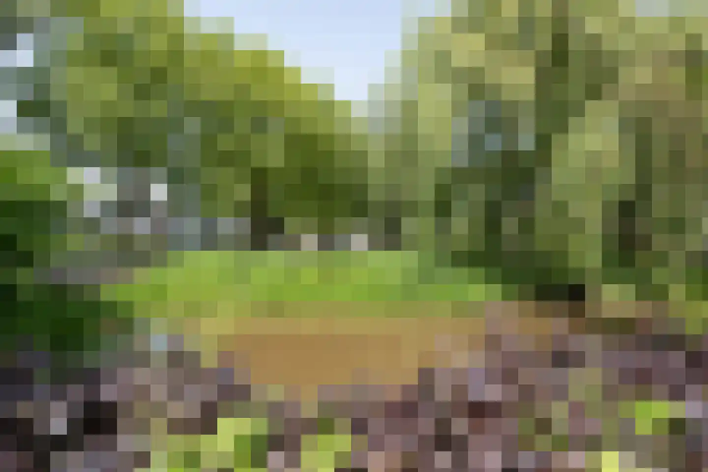 Lindeparklaan 7 Oisterwijk thumbnail 42