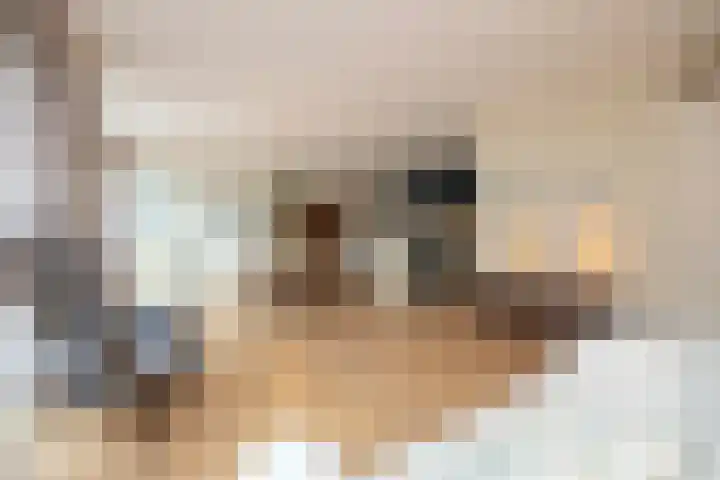 Lindeplein 24 Oisterwijk thumbnail 11