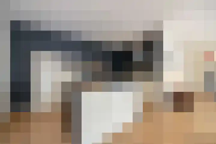 Lindeplein 24 Oisterwijk thumbnail 16