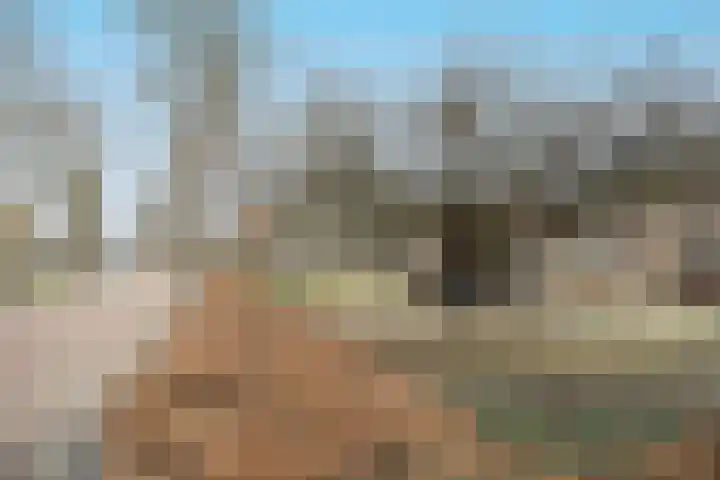 Lindeplein 24 Oisterwijk thumbnail 30