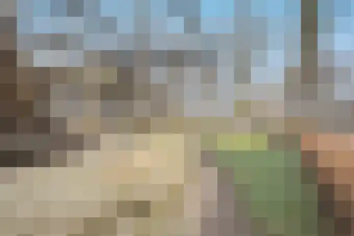 Lindeplein 24 Oisterwijk thumbnail 31