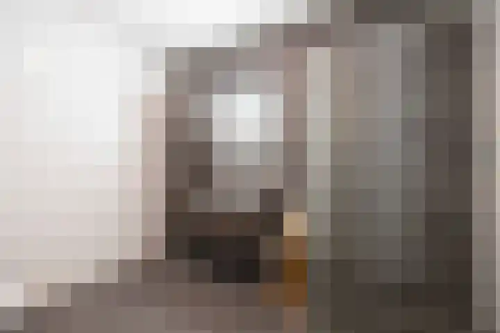 Lindeplein 24 Oisterwijk thumbnail 4