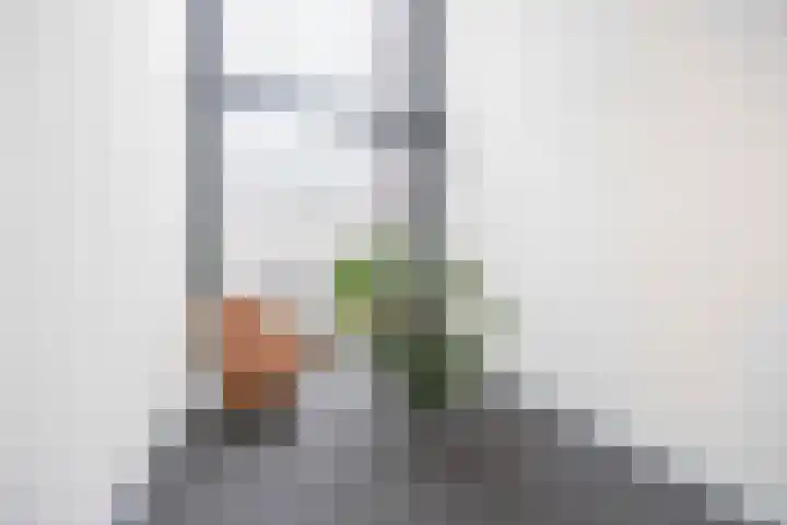 Lindeplein 24 Oisterwijk thumbnail 9