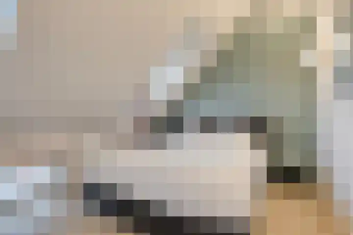 Lindeplein 30 Oisterwijk thumbnail 15