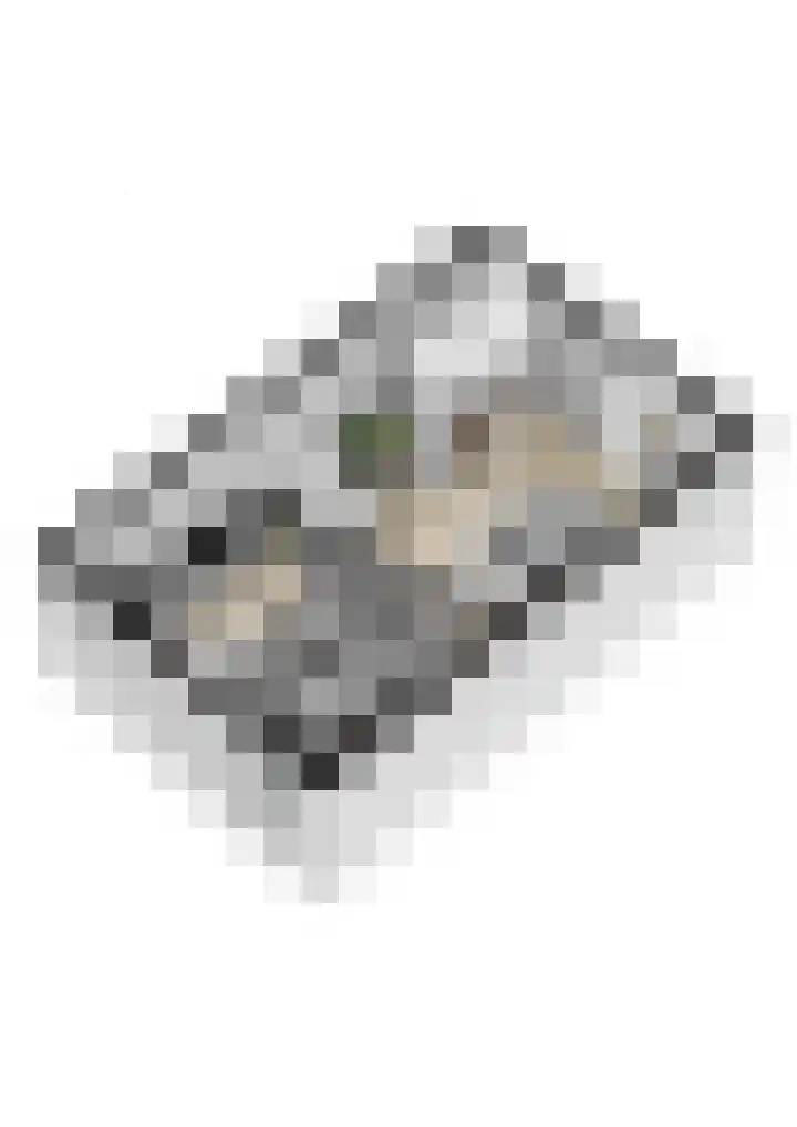 Lindeplein 30 Oisterwijk thumbnail 28