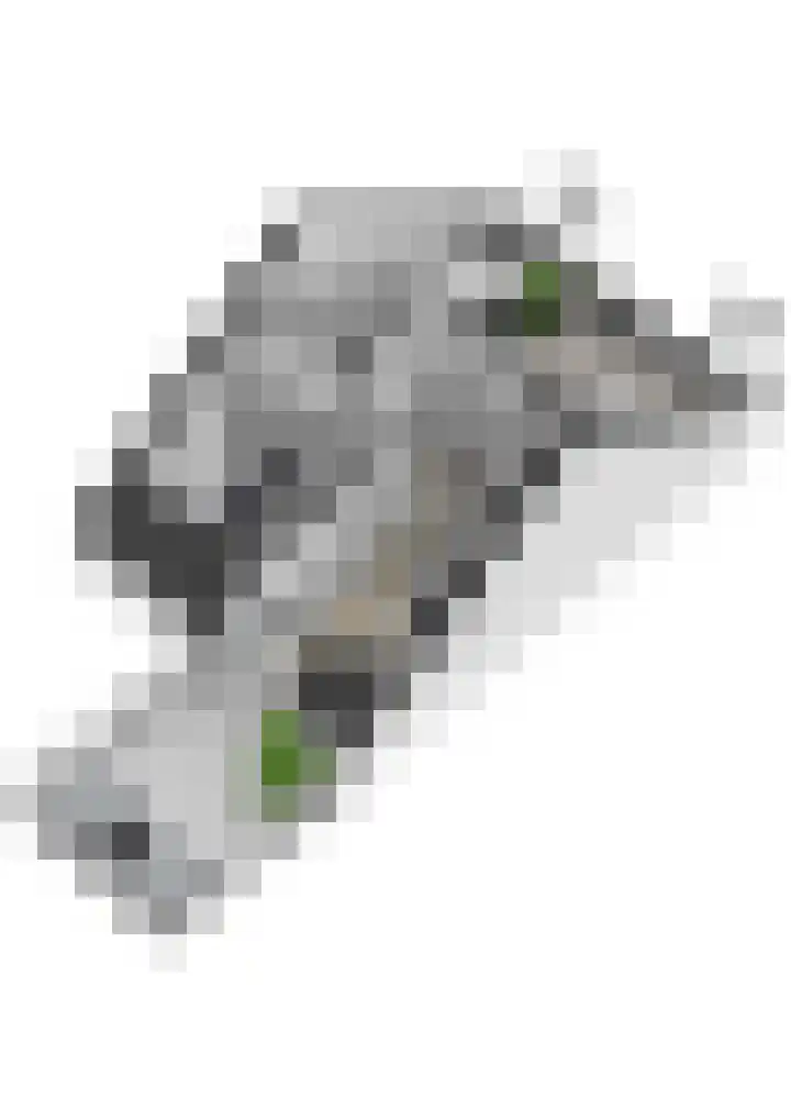 Lindeplein 30 Oisterwijk thumbnail 30