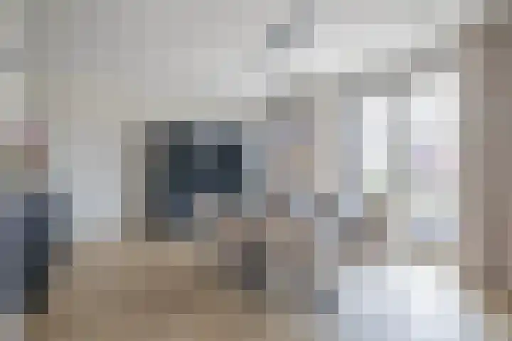 Linderhof 11 Zevenhuizen thumbnail 17