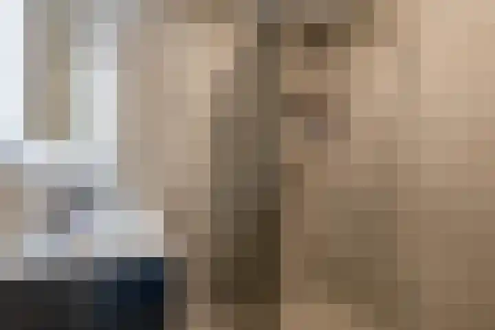Linderhof 11 Zevenhuizen thumbnail 30
